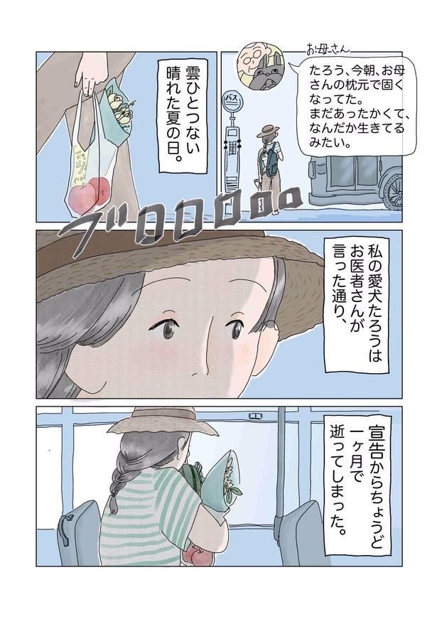 画像提供：チャン・メイ(@masondixon402)