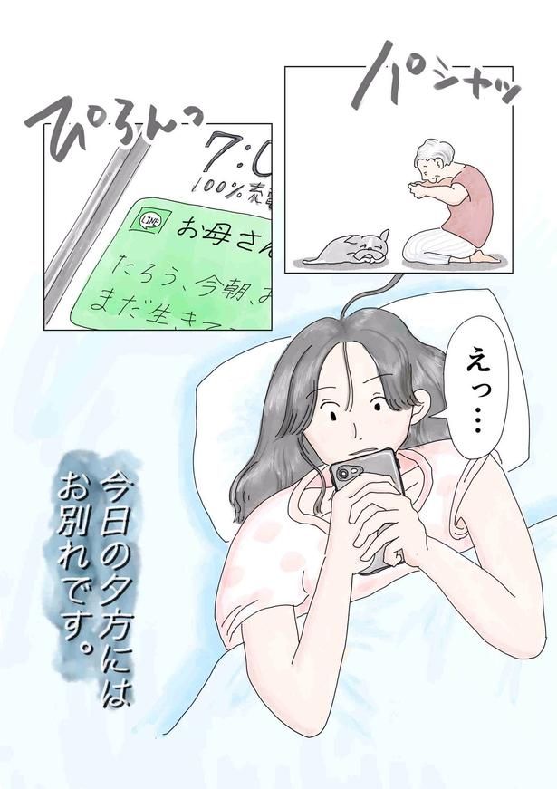 画像提供：チャン・メイ(@masondixon402)