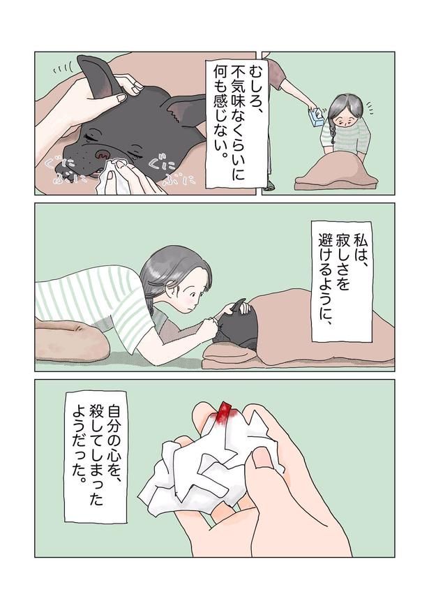 画像提供：チャン・メイ(@masondixon402)