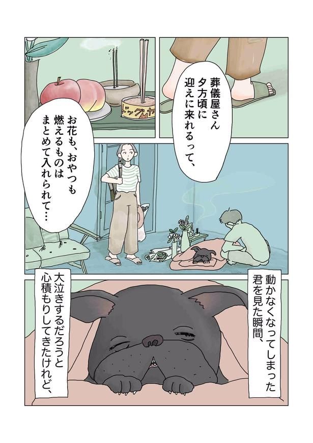 画像提供：チャン・メイ(@masondixon402)