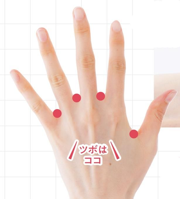 老廃物の排出を促し、水分の巡りを整えることが期待されるツボ「八邪」 撮影／山上 忠