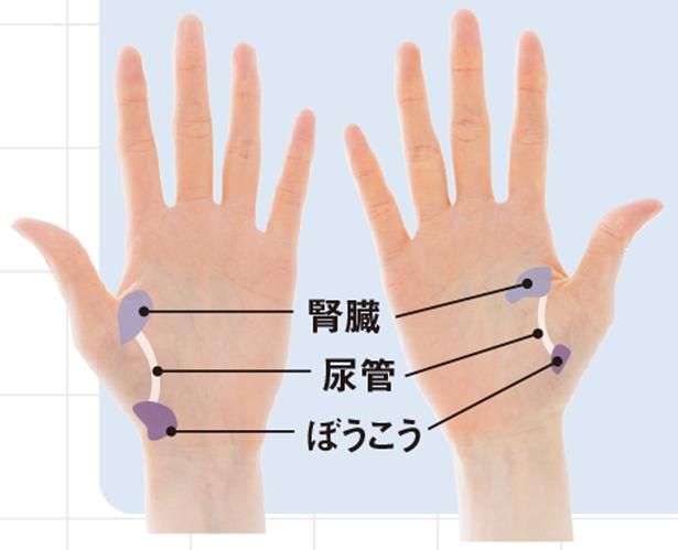 血液やリンパの巡りも整い、冷えにくい体へ 撮影／山上 忠