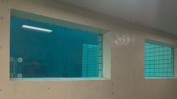 【千葉県市川市】水中撮影が初めてでも挑戦できるワークショップを市川マリンセンターで開催！