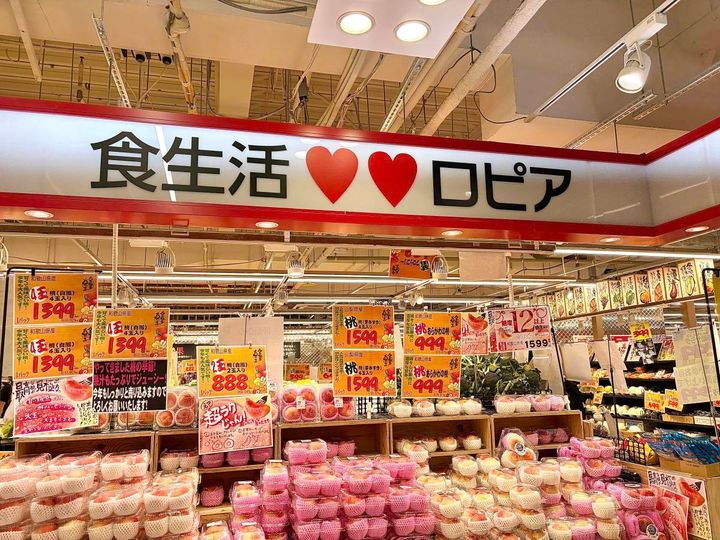 写真①