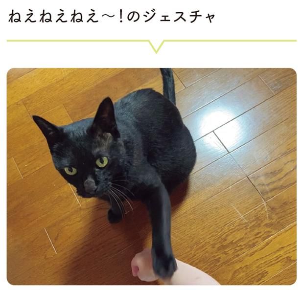 ねえねえねえ～！のジェスチャ （C）AKR／KADOKAWA