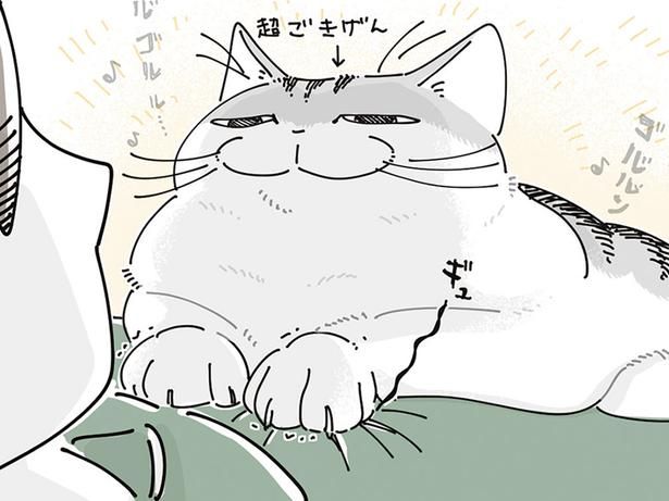ネコが乗ってきて （C）キュルZ／KADOKAWA