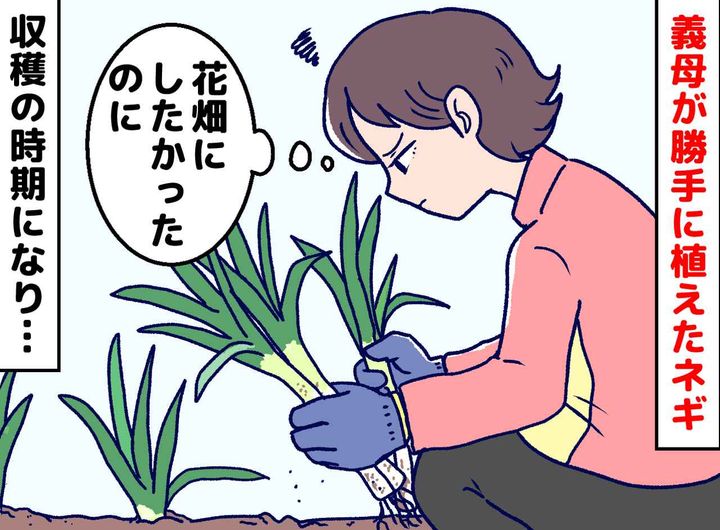 画像: 「勝手に植えないで」義母が庭に作ったネギ畑。怒りが消えた“思いがけない結末”