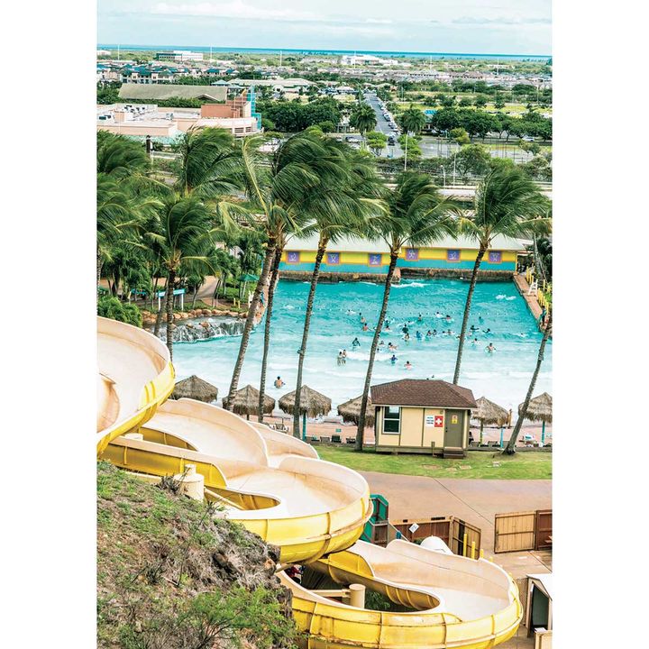 2026/07/202605_hawaii_5-1.jpg
