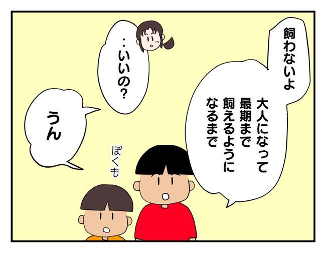 飼えなくなった猫を押し付けるママ友