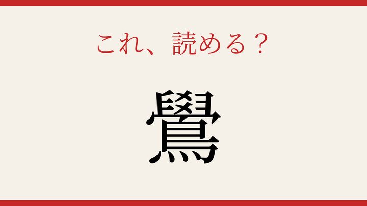 【難読漢字】つい読み間違える！鳥の名前の問題画像