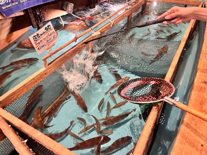 躍動感のある釣りの様子