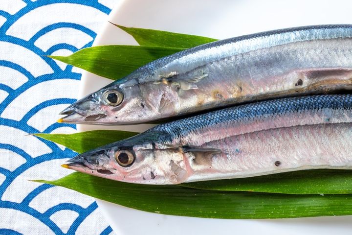 新鮮な秋刀魚