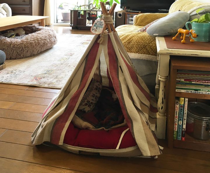 愛犬のお部屋。