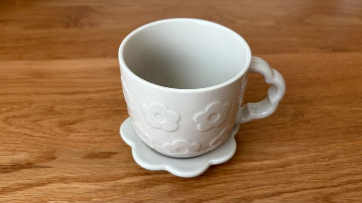 100均の蓋付きマグカップを5商品買ってみた！【ダイソー・セリア・キャン★ドゥ】