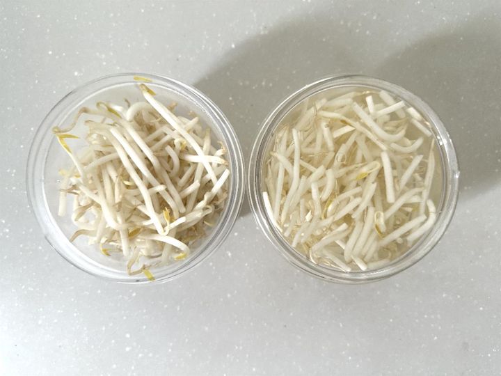 画像1: 1日目と2日目の変化は？