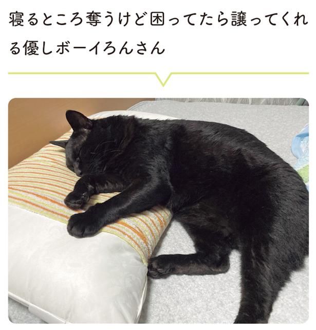 寝るところ奪うけど困ったら譲ってくれる優しボーイろんさん （C）AKR／KADOKAWA