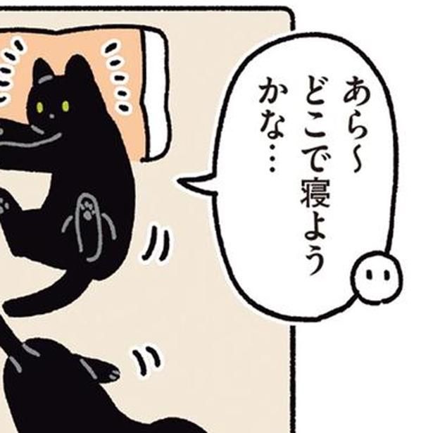 どこで寝ようかな （C）AKR／KADOKAWA