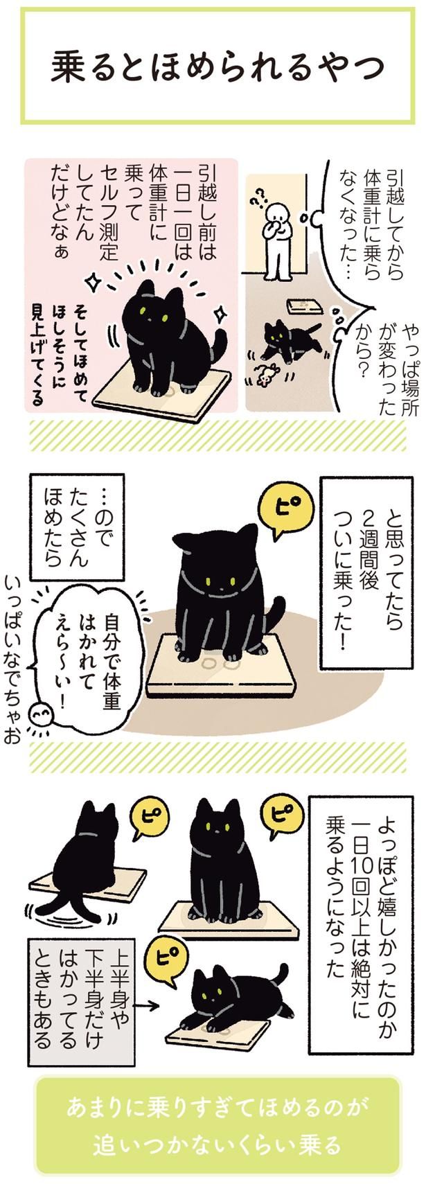 自分で体重はかれてえら～い！ （C）AKR／KADOKAWA