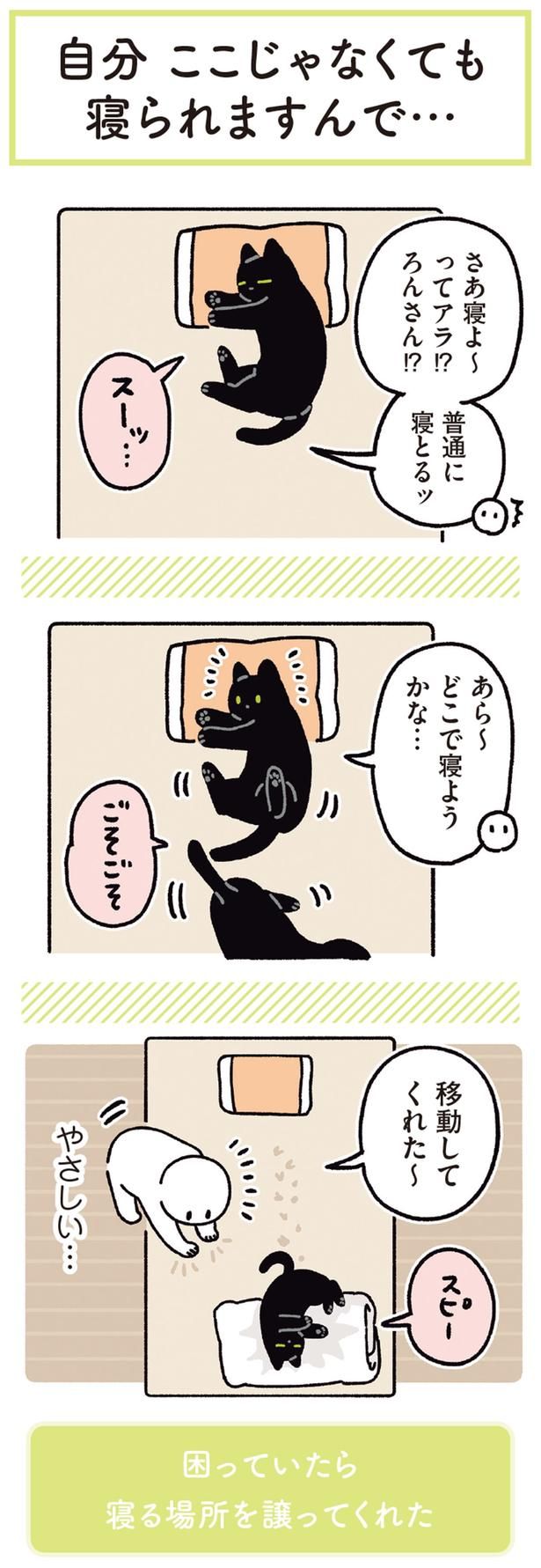 あら～ どこで寝ようかな… （C）AKR／KADOKAWA