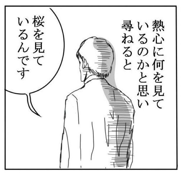 桜_P05 送達ねこ(@jinjanosandou)