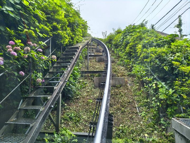アスカルゴ車窓から見える緑の木々