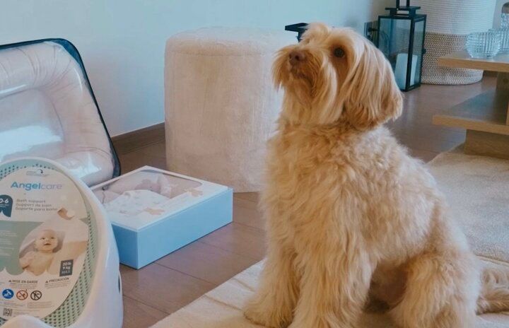 【写真・画像】「父はルイ・ヴィトンジャパン元社長」第一子妊娠中の藤井サチ（29）、起業準備中のビジネスを告白「今年中のオープンを目指す」「子供にキラキラした姿を見せたい」 2枚目