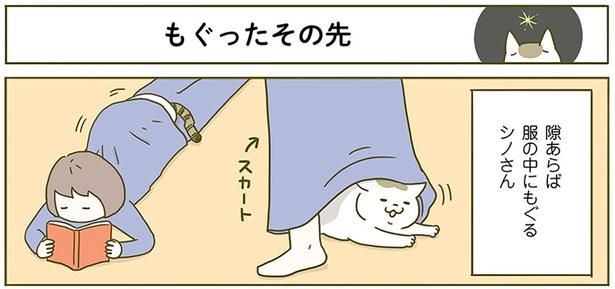 もぐったその先 （C）卵山玉子／KADOKAWA
