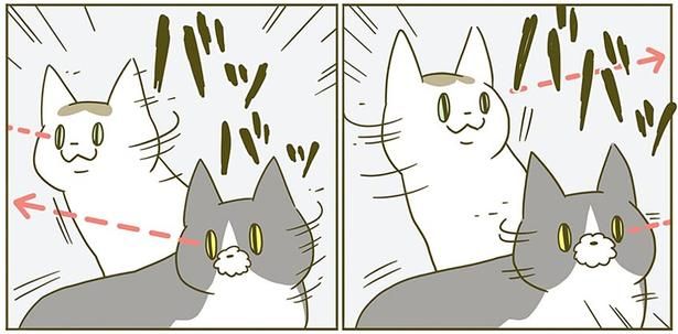 ババッ!! （C）卵山玉子／KADOKAWA
