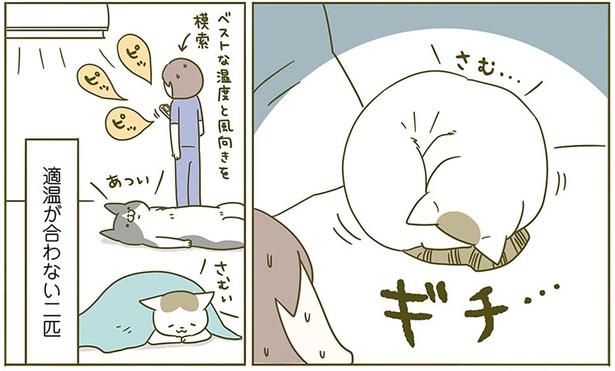 さむ… （C）卵山玉子／KADOKAWA