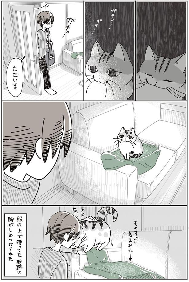 ものすごい毛まみれ （C）キュルZ／KADOKAWA