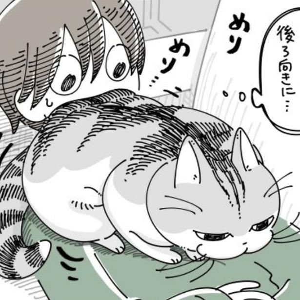 飼い主にお尻を向けて座る猫 画像提供：キュルZ@kyuryuZ