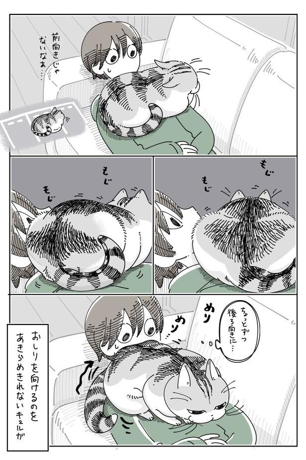 02 画像提供：キュルZ@kyuryuZ