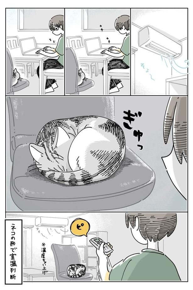02 画像提供：キュルZ@kyuryuZ