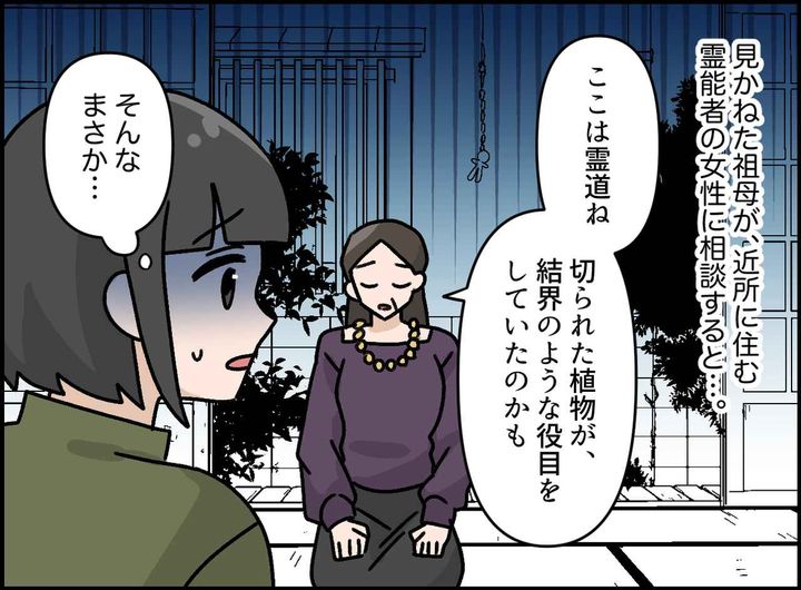 画像3: 毎晩現れる不気味な影……