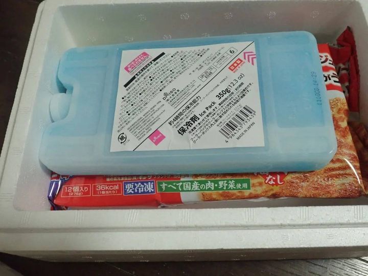 DAISO(ダイソー)：保冷剤(ハードタイプ、500g)