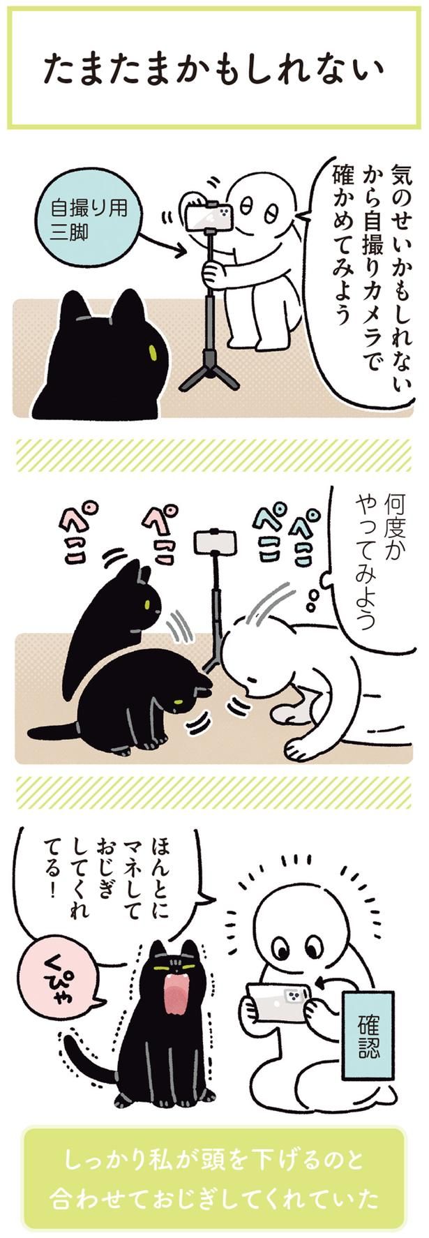 何度かやってみよう （C）AKR／KADOKAWA
