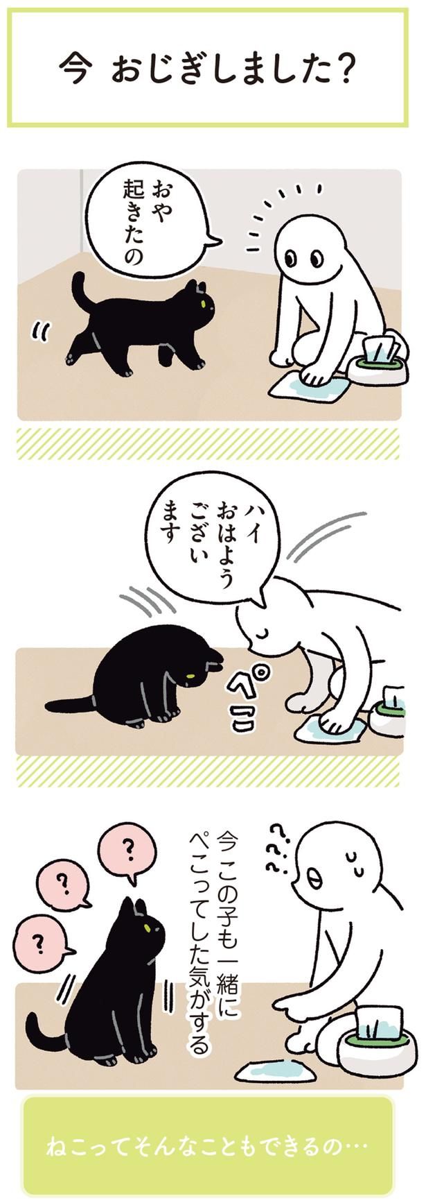 今 この子も一緒にぺこってした気がする （C）AKR／KADOKAWA