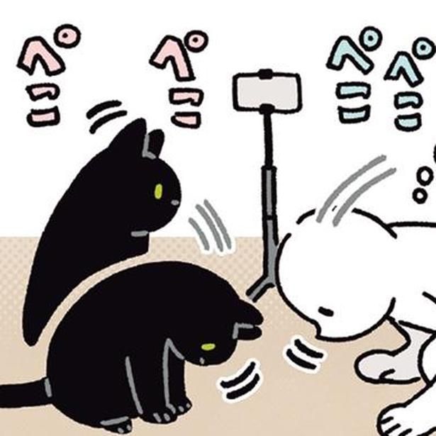 飼い主と同じタイミングでおじぎ （C）AKR／KADOKAWA