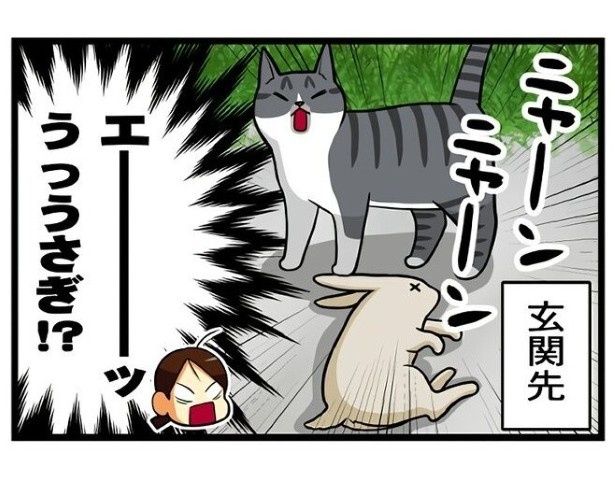 もちこ(@mogutchecho)