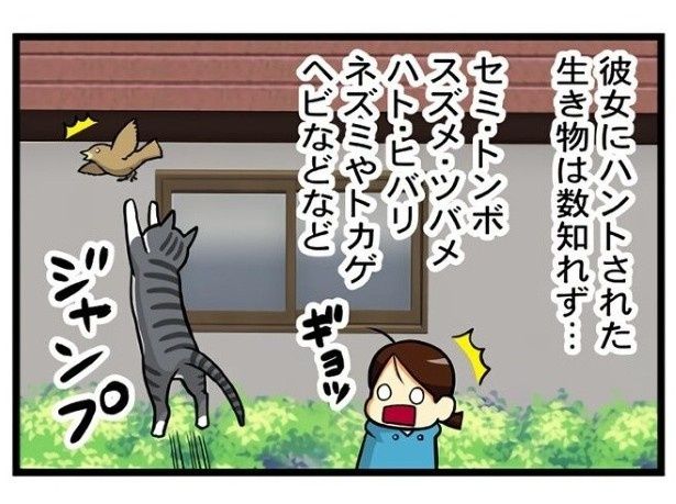 もちこ(@mogutchecho)