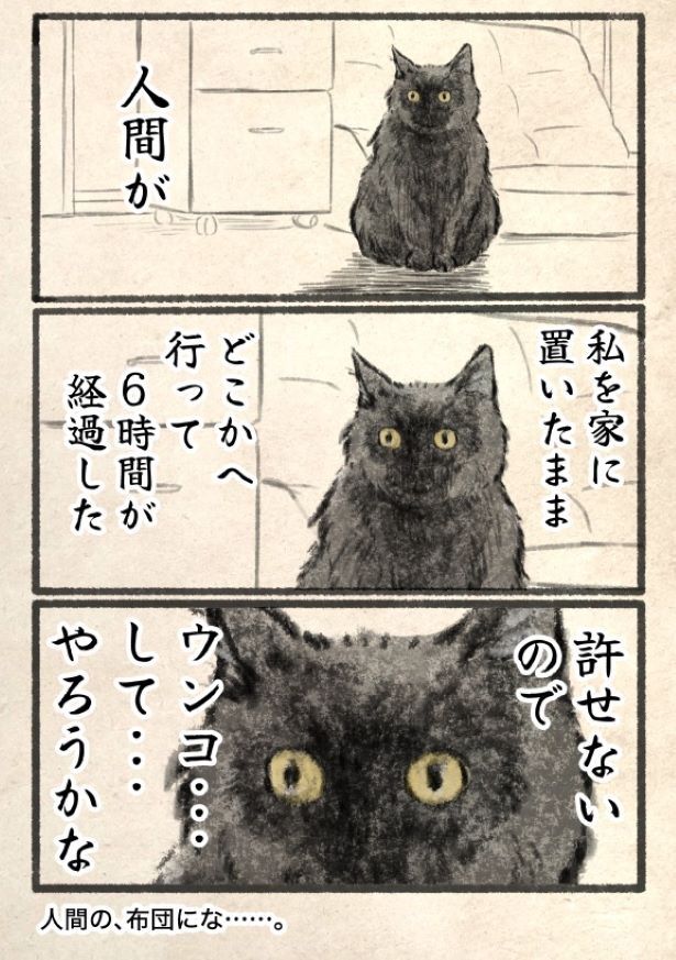 初めてのお留守番で猫は？ 画像提供：(C)キジネコ様(@Motidukineko)
