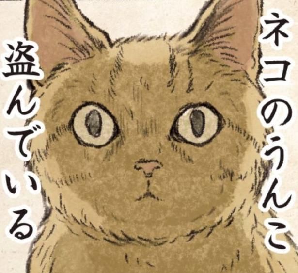 じっと見つめる猫様はいつもこんな風に思っている 画像提供：(C)キジネコ様(@Motidukineko)