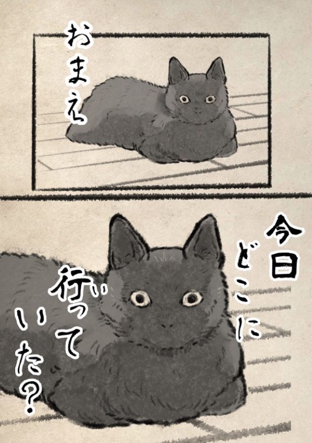 おい。人間。 画像提供：(C)キジネコ様(@Motidukineko)