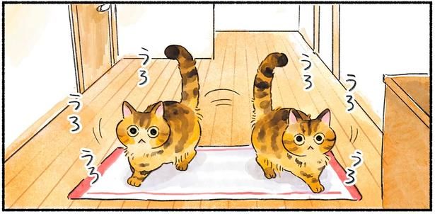 うろうろうろ （C）山麦まくら／KADOKAWA
