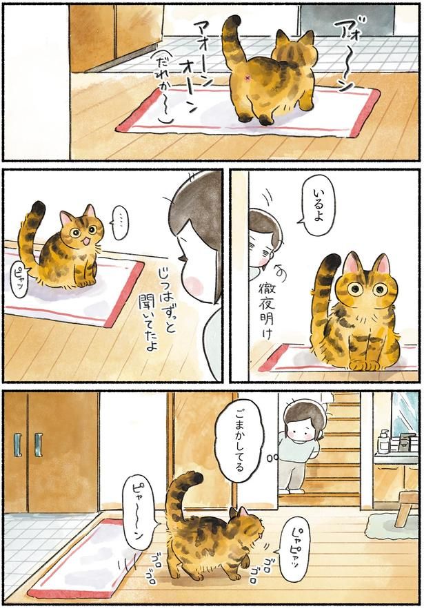 いるよ （C）山麦まくら／KADOKAWA