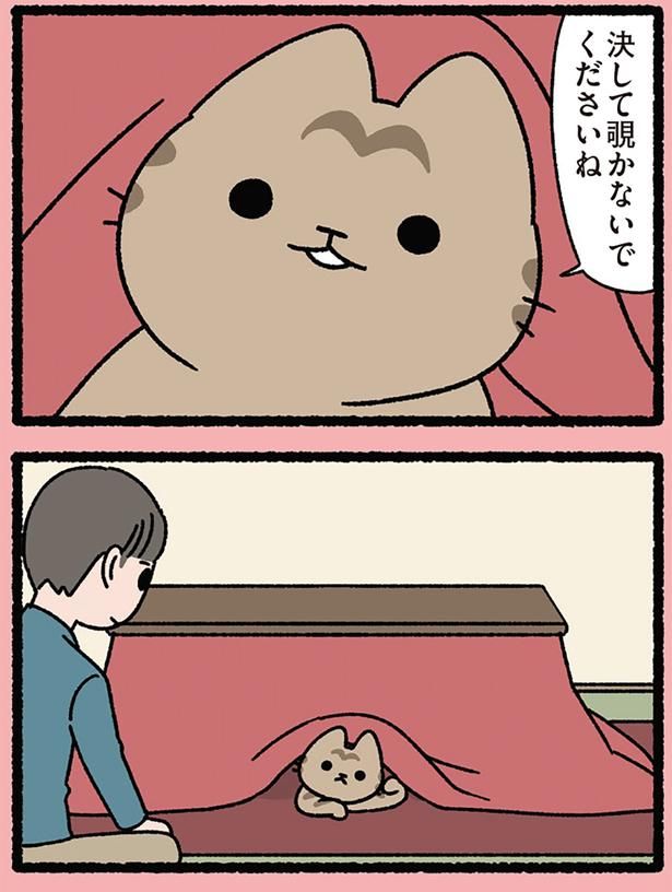 覗かないでくださいね （C）ぱんだにあ／KADOKAWA