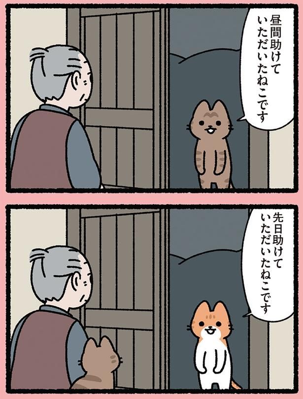 助けていただいたねこです （C）ぱんだにあ／KADOKAWA