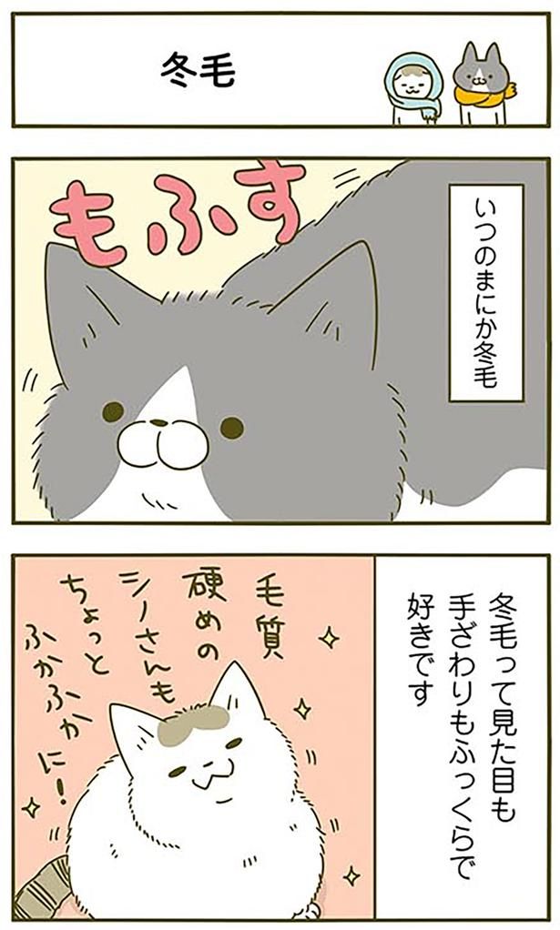 冬毛 （C）卵山玉子／KADOKAWA