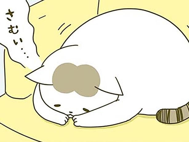 寒がる猫 （C）卵山玉子／KADOKAWA