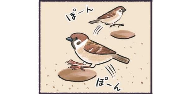 ぽーん ぽーん （C）piro piro piccolo／KADOKAWA